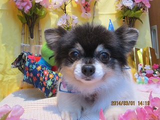 ファイル 7239-2.jpg