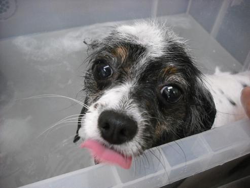 ファイル 724-2.jpg