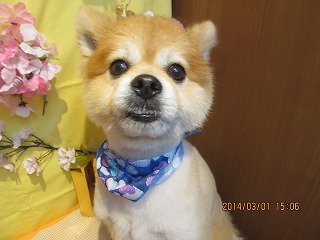 ファイル 7240-2.jpg