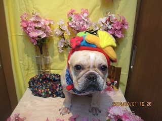 ファイル 7242-1.jpg