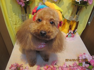 ファイル 7243-2.jpg