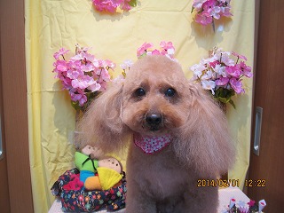 ファイル 7244-2.jpg