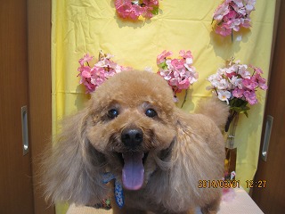 ファイル 7245-2.jpg