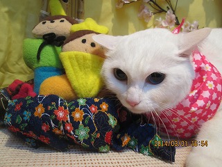 ファイル 7246-2.jpg