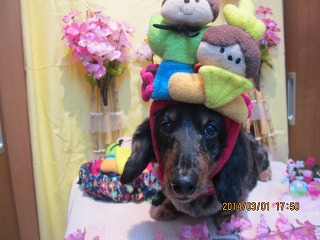 ファイル 7247-1.jpg