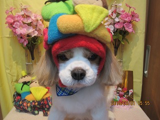 ファイル 7249-1.jpg