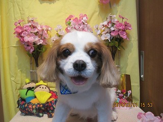 ファイル 7249-2.jpg