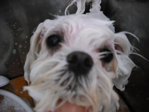 ファイル 725-2.jpg