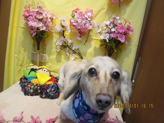 ファイル 7251-2.jpg