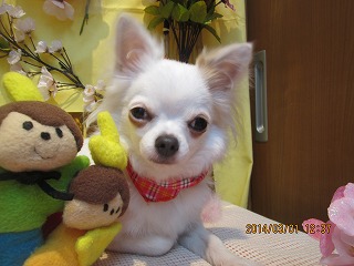 ファイル 7252-1.jpg