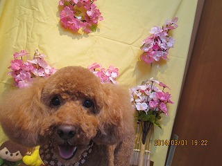 ファイル 7253-2.jpg