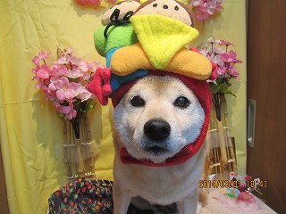 ファイル 7254-1.jpg