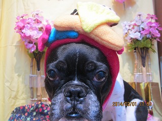 ファイル 7255-1.jpg