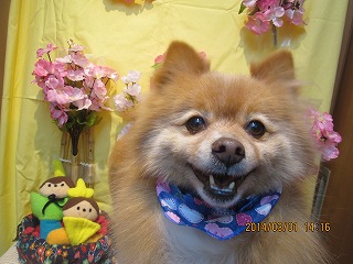 ファイル 7256-2.jpg