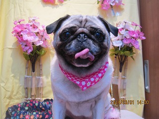 ファイル 7257-1.jpg