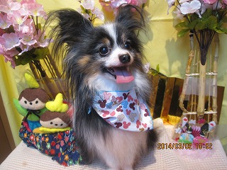 ファイル 7258-1.jpg