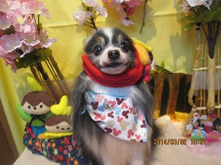 ファイル 7258-2.jpg