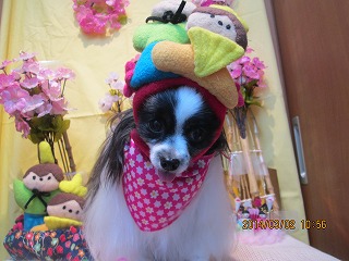 ファイル 7259-2.jpg