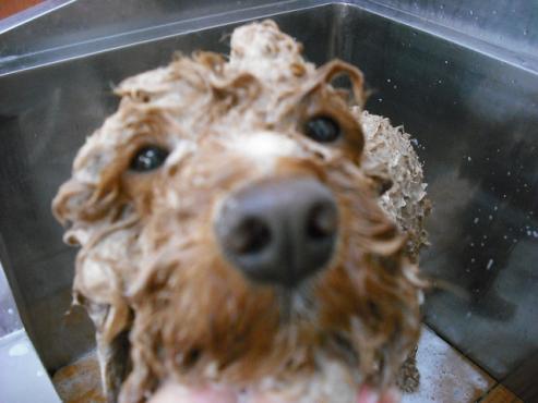 ファイル 726-2.jpg