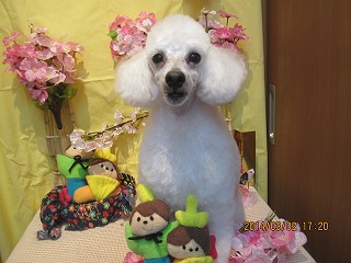 ファイル 7260-1.jpg