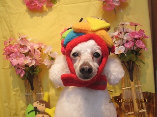 ファイル 7261-2.jpg