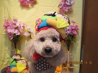 ファイル 7262-2.jpg