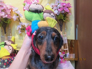 ファイル 7264-2.jpg