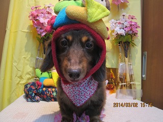 ファイル 7265-2.jpg