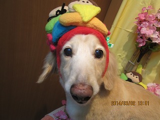 ファイル 7266-2.jpg