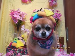 ファイル 7268-2.jpg