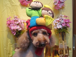 ファイル 7269-2.jpg