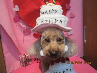 ファイル 7269-3.jpg