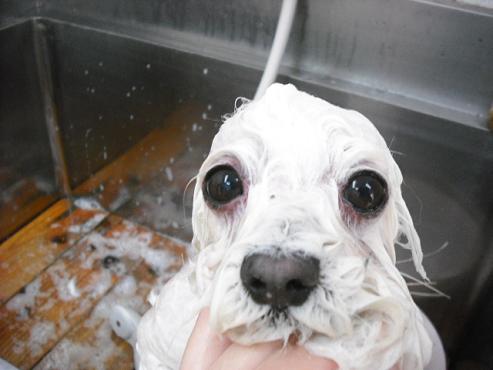 ファイル 727-2.jpg