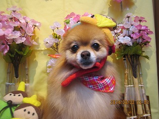 ファイル 7270-2.jpg