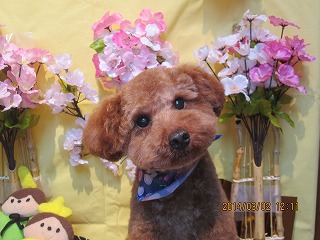 ファイル 7271-1.jpg