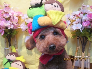 ファイル 7271-2.jpg