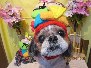 ファイル 7272-2.jpg