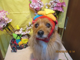 ファイル 7274-2.jpg