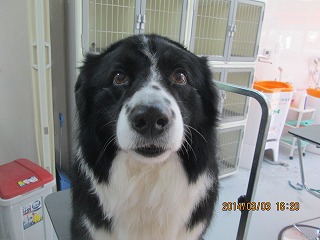 ファイル 7275-1.jpg