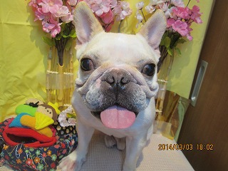 ファイル 7276-1.jpg