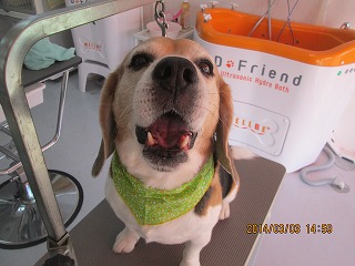 ファイル 7277-1.jpg