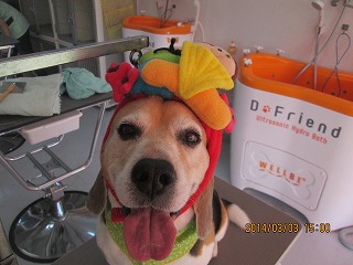 ファイル 7277-2.jpg