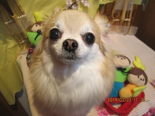 ファイル 7278-1.jpg