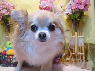 ファイル 7278-2.jpg