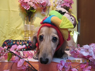 ファイル 7279-2.jpg