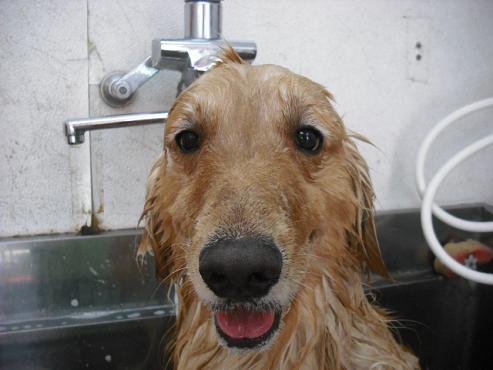 ファイル 728-2.jpg