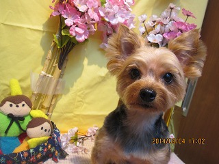 ファイル 7280-1.jpg