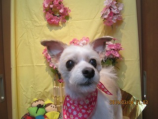 ファイル 7281-1.jpg