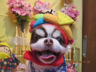 ファイル 7282-2.jpg