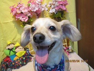 ファイル 7283-1.jpg